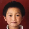 群宝无敌
