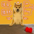 西二旗柴哥