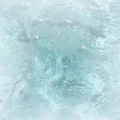 常晰悦