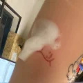 わし