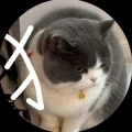 美羊羊杂货铺