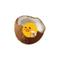 椰子变速壳
