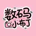 数码小布丁