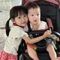 软软蛋糕酱