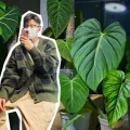 植男Jerry
