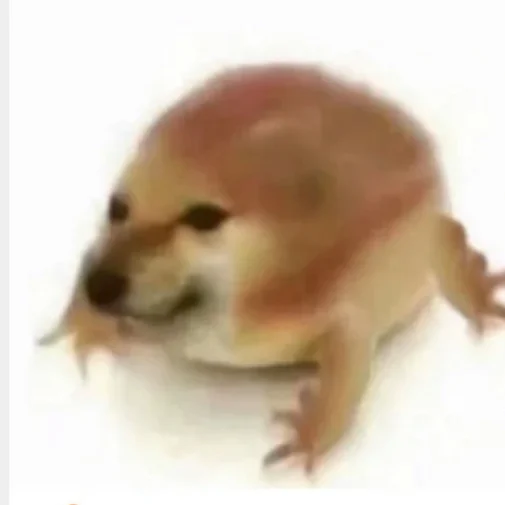 狗泥几蛙